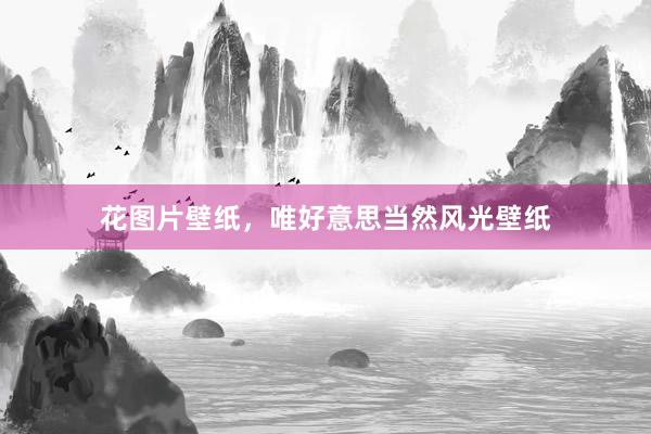 花图片壁纸，唯好意思当然风光壁纸