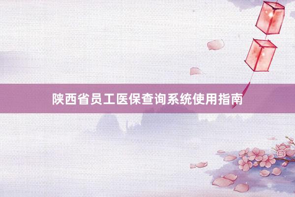 陕西省员工医保查询系统使用指南