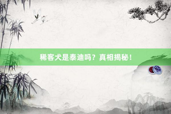 稀客犬是泰迪吗？真相揭秘！